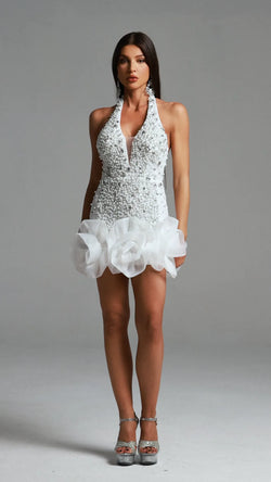 Taylor dream dress