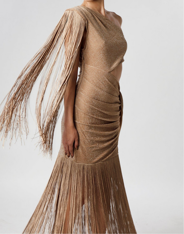 Rose Fringes Dress
