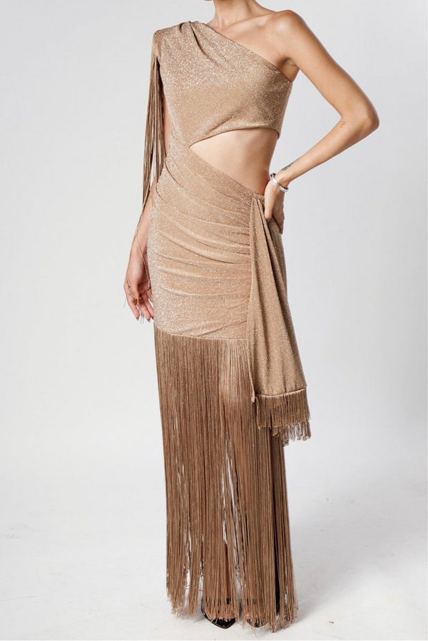 Rose Fringes Dress