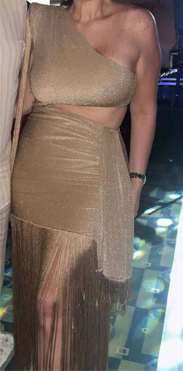 Rose Fringes Dress