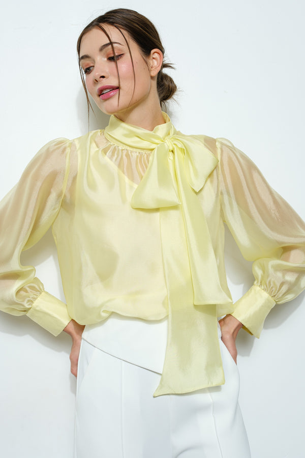 Eve blouse
